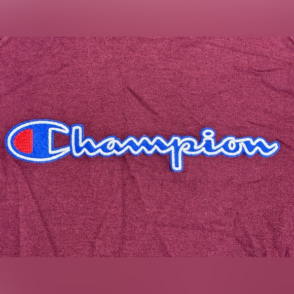 Champion Purple Logo Hoodie Pullover Sweatshirt Ladies Size‎ 2XL - Picture 5 of 5